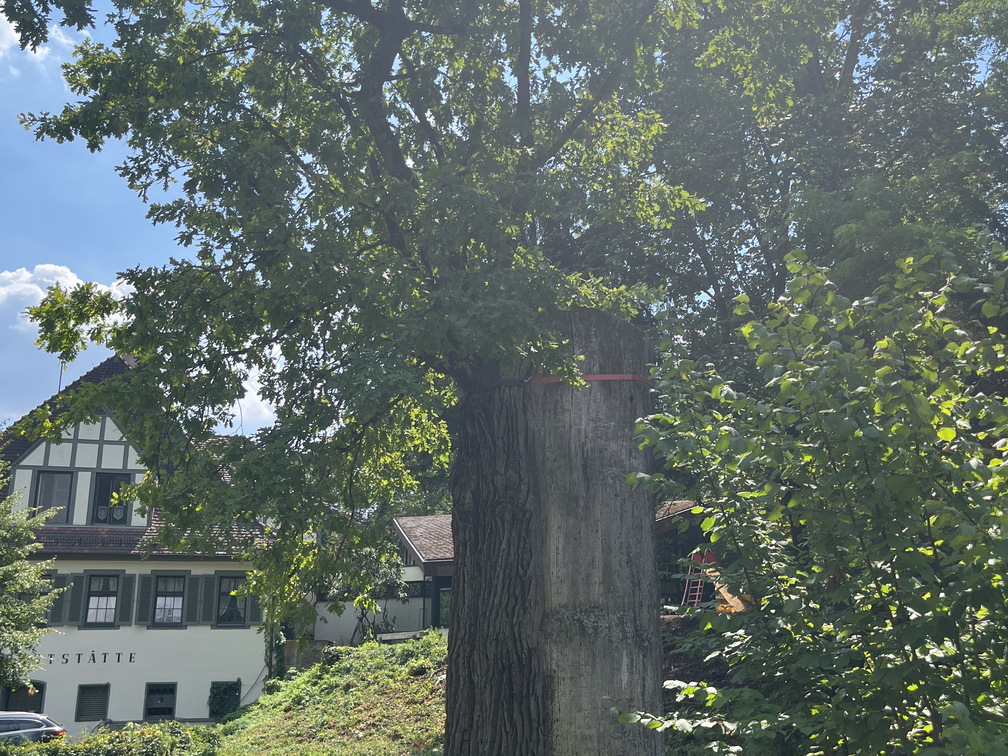 22-07-30 12-56-15 1750